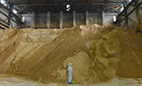 倉庫に保管されている原料糖のイメージ